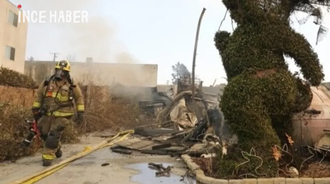 Los Angeles'ta Yangınlar ve Yağma Olayları: Polis Operasyon Düzenledi